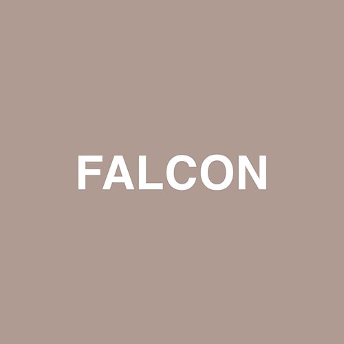 Falcon Jaden feat. Raury