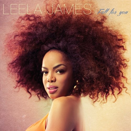 Fall for You Leela James