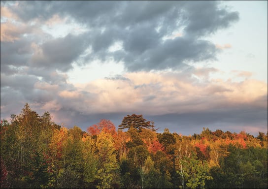 Fall scene near Veazie, Maine., Carol Highsmith - plakat 100x70 cm Galeria Plakatu