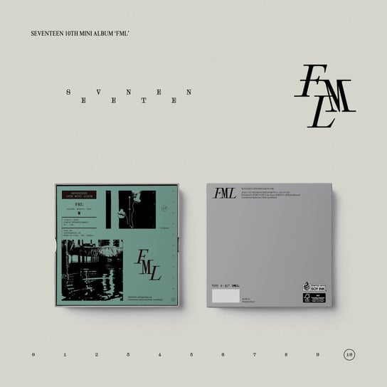 Fallen, Misfit, Lost (10th Mini Album Fml) Seventeen