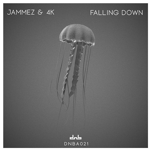 Falling Down Jammez & 4K