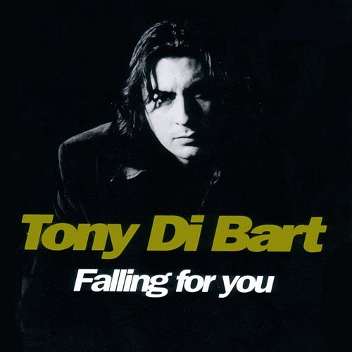 Falling For You Tony Di Bart