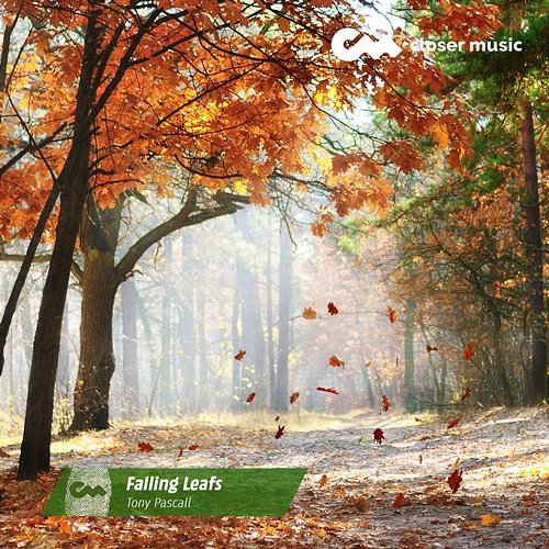 Falling Leafs Tony Pascall