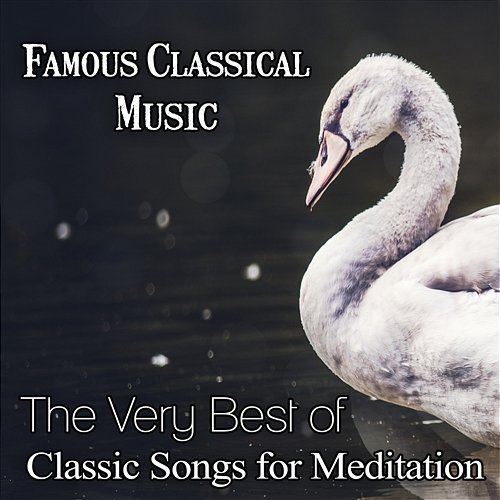 Famous Classical Music: The Very Best of Classic Songs for Meditation, Instrumental Background Music for Study, Rest and Well Being Various Artists