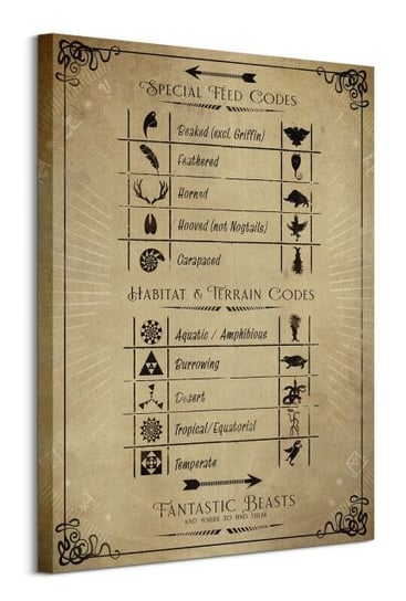 Fantastic Beasts Codes - obraz na płótnie Pyramid Posters