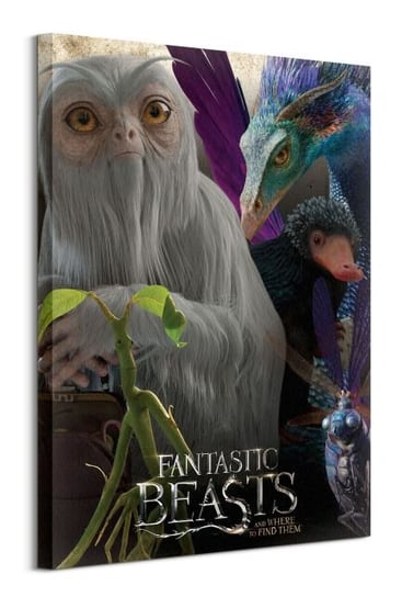 Fantastic Beasts Fantastic Beasts  - obraz na płótnie Pyramid Posters