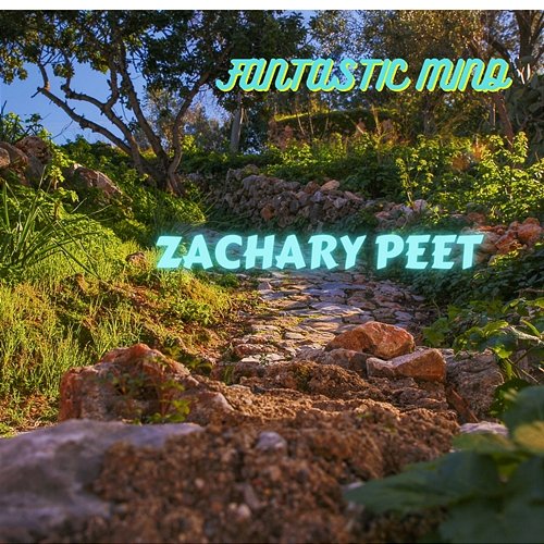 Fantastic Mind Zachary Peet