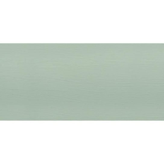 Farba kredowa Pastel Green - Wykończenie kredowe - 100 ml RAYHER