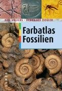 Farbatlas Fossilien Urlichs Max, Ziegler Bernhard