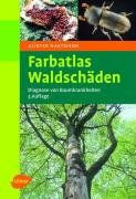 Farbatlas Waldschäden Nienhaus Franz, Hartmann Gunter, Butin Heinz