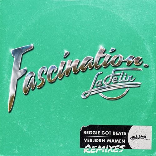 Fascination Vebjørn Mamen, Reggie Got Beats