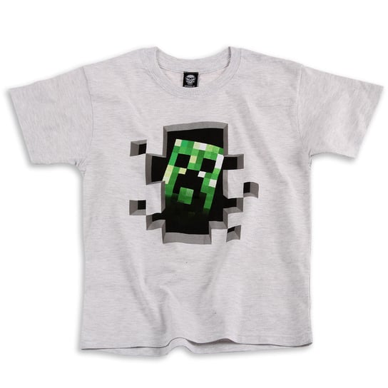 FashionUK, T-shirt chłopięcy z krótkim rękawem, Minecraft, rozmiar 122/128 UK Fashion Minecraft