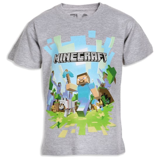 FashionUK, T-shirt chłopięcy z krótkim rękawem, Minecraft, rozmiar 122/128 UK Fashion