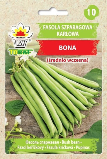 Fasola szp. karł. zielonostr. BONA (śr. wczesna)
Phaseolus vulgaris L. Toraf