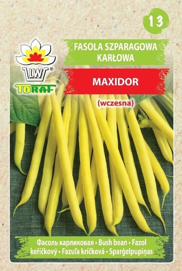 Fasola szp. karł. żółtostr. MAXIDOR (wczesna)    
Phaseolus vulgaris L. Toraf