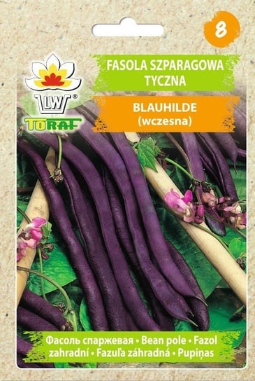 Fasola szp. tyczna, fioletowa, szerokostr. BLAUHILDE (wczesna)
Phaseolus vulgaris L. Toraf