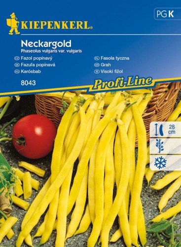 Fasola Tyczna 'Neckargold' – Żółta – Kiepenkerl KIEPENKERL