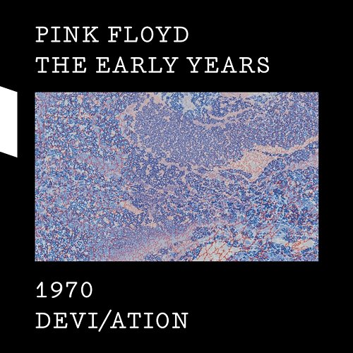 Fat Old Sun Pink Floyd