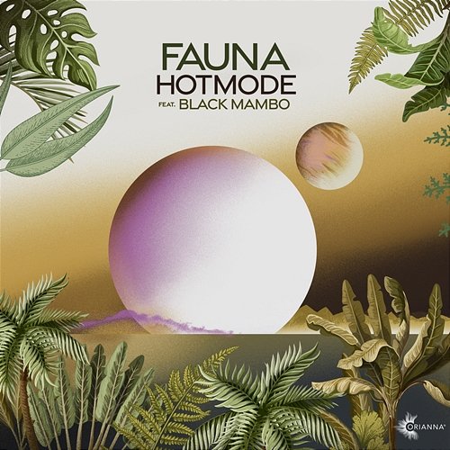 Fauna Hotmode feat. Black Mambo