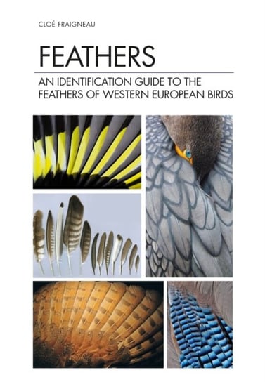 Feathers: An Identification Guide to the Feathers of Western European Birds Cloe Fraigneau