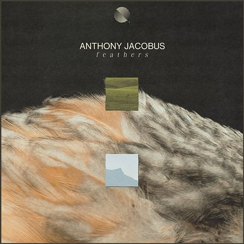Feathers Anthony Jacobus
