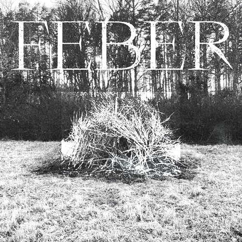 Feber Diset