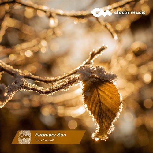 February Sun Tony Pascall