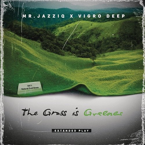 Fede Vigro Deep, Mr JazziQ