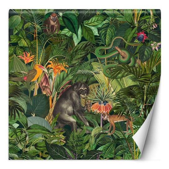 Feeby Fototapeta Dżungla Zwierzęta Zielone Liście Andrea Haase 150X150 Feeby