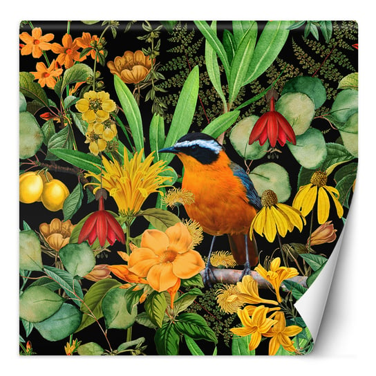Feeby Fototapeta Kolorowy Abstrakcyjny Ptak Natura Andrea Haase 150X150 Feeby
