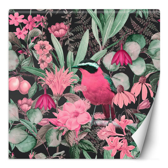 Feeby Fototapeta Kolorowy Ptak Natura Zwierzęta Andrea Haase 150X150 Feeby
