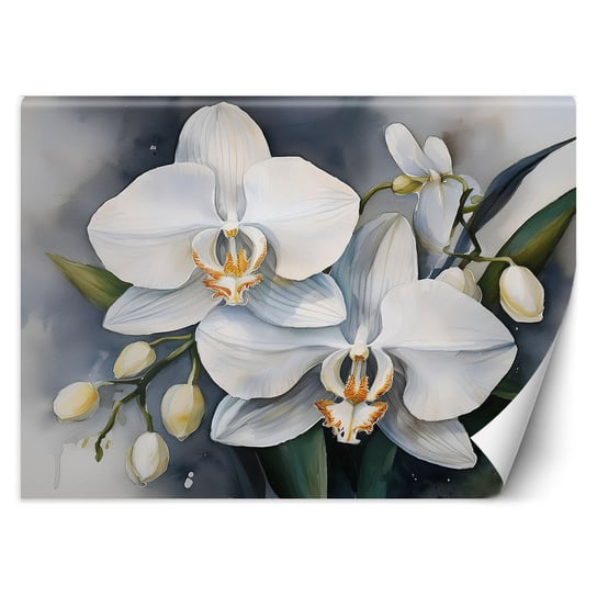 Feeby Fototapeta, Kwiat Orchidei Abstrakcja 100X70 Feeby