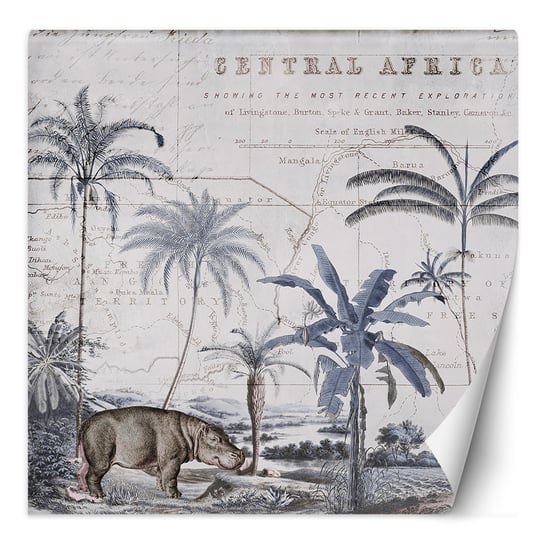 Feeby Fototapeta Niebieskie Tło Hipopotam Zwierzęta Andrea Haase 150X150 Feeby