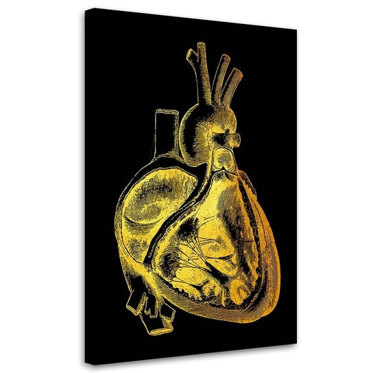 Feeby Obraz na płótnie, FEEBY Anatomia serca w złocie - Gab Fernando 80x120 Feeby