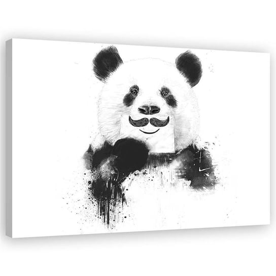Feeby Obraz na płótnie, FEEBY Czarno-biała panda - Balazs Solti 100x70 Feeby