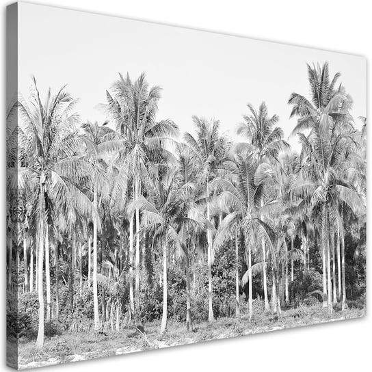 Feeby Obraz na płótnie, FEEBY Czarno białe palmy w dżungli 120x80 Feeby