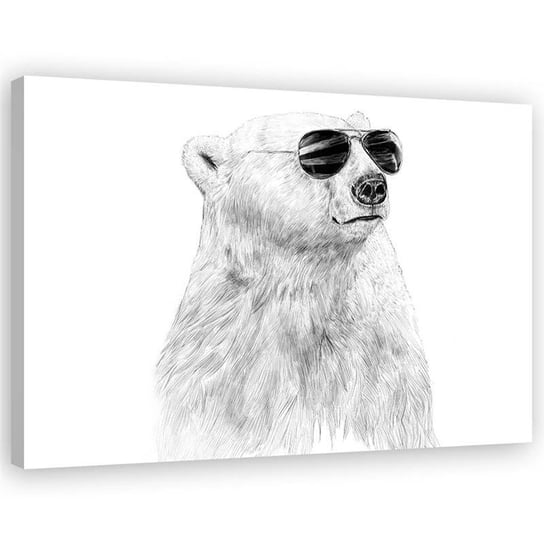 Feeby Obraz na płótnie, FEEBY Czarno-biały miś w okularach - Balazs Solti 120x80 Feeby