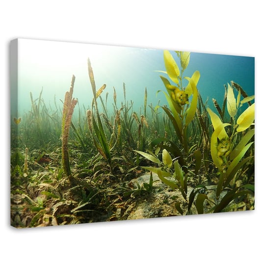 Feeby Obraz na płótnie, FEEBY Dno morza Koty Morze Ocean - Galina Bugaevskaya 100x70 Feeby
