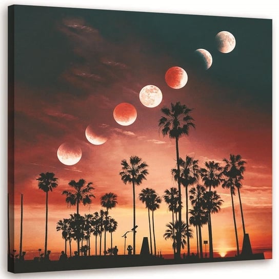 Feeby Obraz na płótnie, FEEBY Fazy księżyca w Kalifornii - Rokibul Hasan 30x30 Feeby
