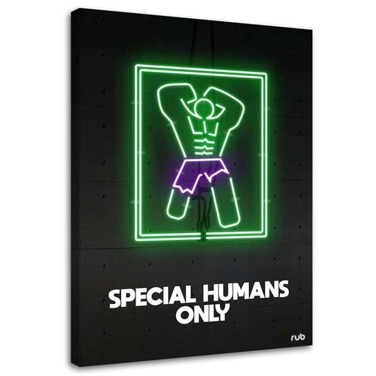 Feeby Obraz na płótnie, FEEBY Hulk neon - Rubiant 70x100 Feeby