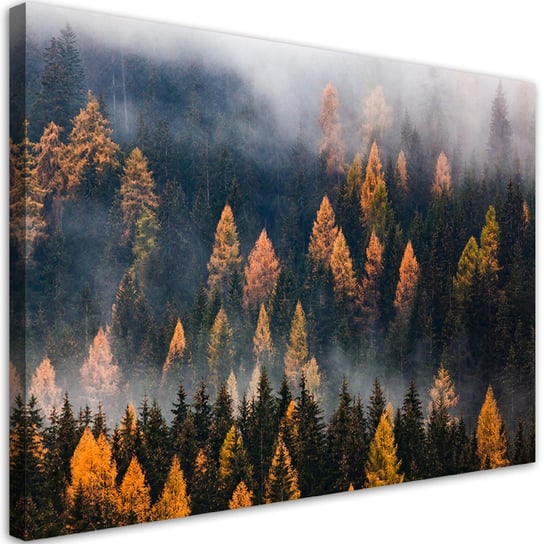Feeby Obraz na płótnie, FEEBY Jesienny krajobraz drzew 100x70 Feeby