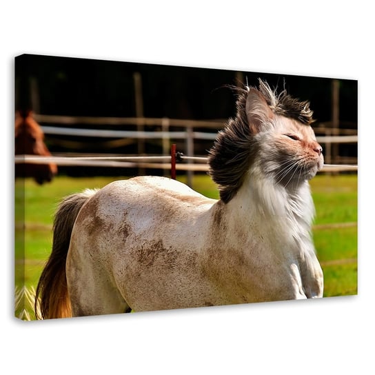 Feeby Obraz na płótnie, FEEBY Kot Koń Zwierzę - Galina Bugaevskaya 90x60 Feeby