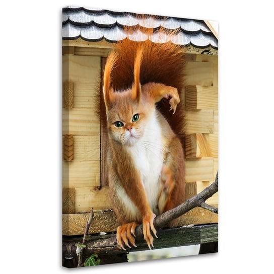 Feeby Obraz na płótnie, FEEBY Kot Wiewiórka Dom Zwierzę - Galina Bugaevskaya 60x90 Feeby