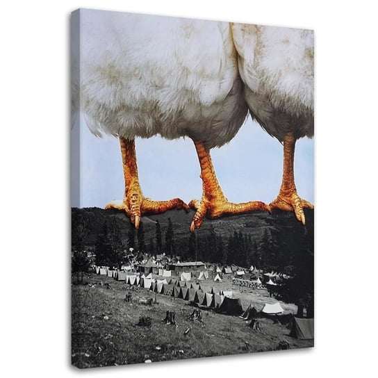 Feeby Obraz na płótnie, FEEBY Kury stojące na górach - Lili Chartrand 70x100 Feeby