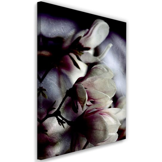 Feeby Obraz na płótnie, FEEBY Kwiaty magnoli z bliska - Dmitry Belov 80x120 Feeby