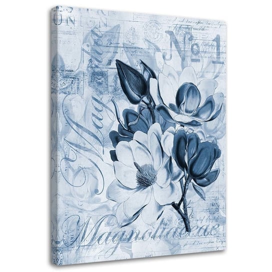 Feeby Obraz na płótnie, FEEBY Magnolie na niebieskim pergaminie - Andrea Haase 40x60 Feeby
