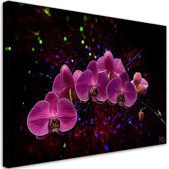 Feeby Obraz na płótnie, FEEBY Orchidea na ciemnym tle 90x60 Feeby