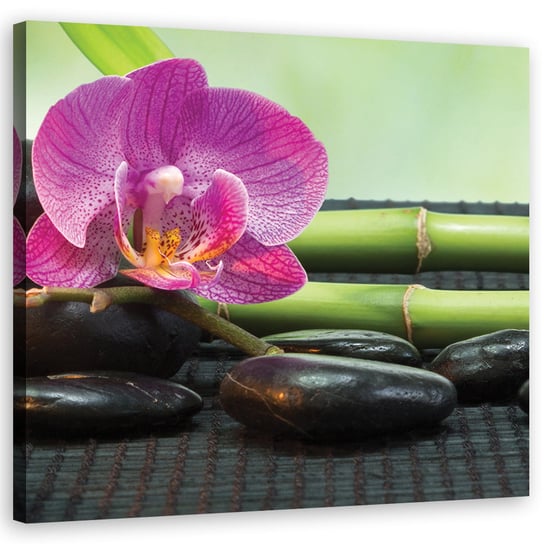 Feeby Obraz na płótnie, FEEBY Orchidea na czarnych kamieniach 30x30 Feeby