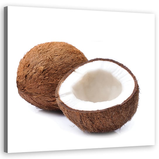 Feeby Obraz na płótnie, FEEBY Owoce kokos 30x30 Feeby
