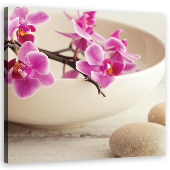 Feeby Obraz na płótnie, FEEBY Różowe orchidee w naczyniu 30x30 Feeby